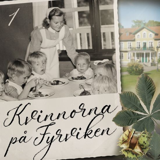 Kvinnorna på Fyrviken - cover