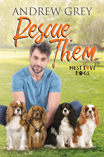 Rescue Them - cover