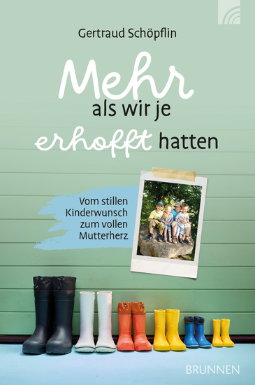 Mehr als wir je erhofft hatten - Vom stillen Kinderwunsch zum vollen Mutterherz: einfühlsamer Erfahrungsbericht über das sensible Thema Kinderlosigkeit - unerfüllter Kinderwunsch Pflegekinder & Adoption - cover
