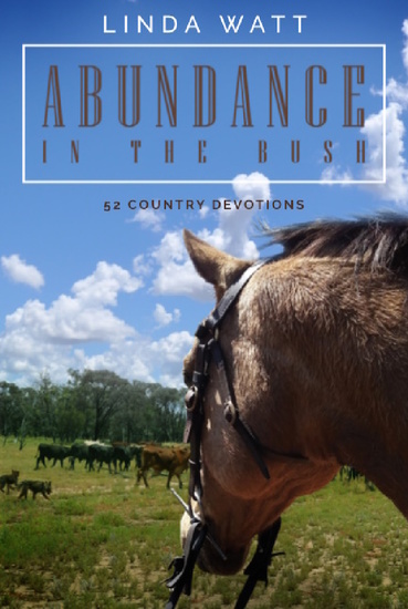 Abundance in the Bush - 52 Country Devotions - cover