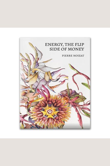 Energy the flip side of money - cover