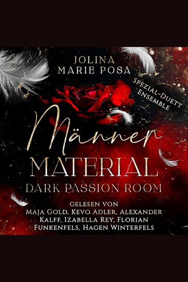 Männer Material - Dark Passion Room - cover