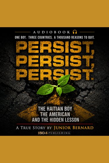 Persist Persist Persist - The Haitian Boy The American and The Hidden Lesson - cover