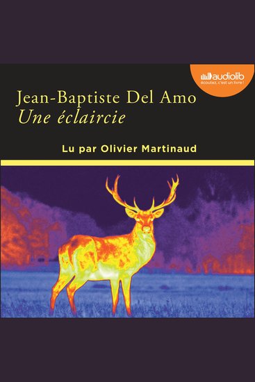 Une éclaircie - cover
