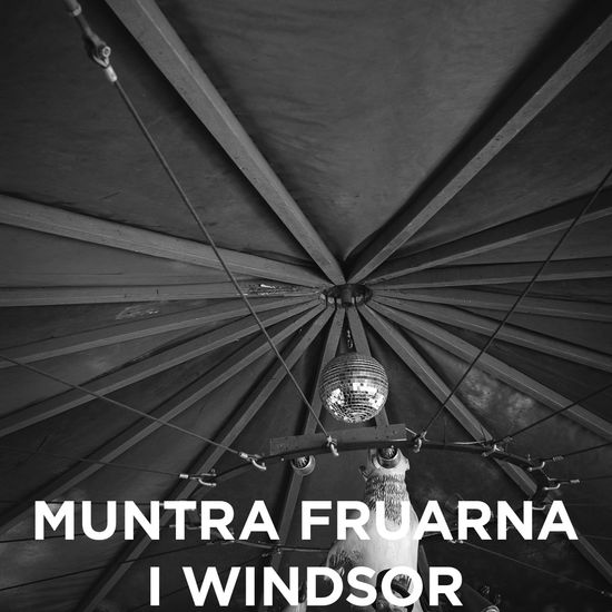 Muntra fruarna i Windsor - cover