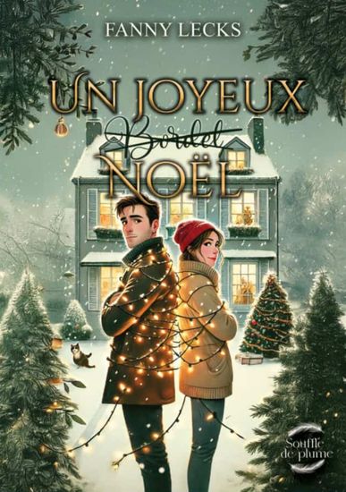 Un joyeux (bordel) Noël - cover