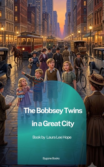 The Bobbsey Twins in a Great City - cover