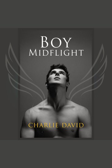 Boy Midflight - Coming of Age College Gay Romance - cover