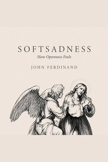 Softsadness - How Openness Feels - cover
