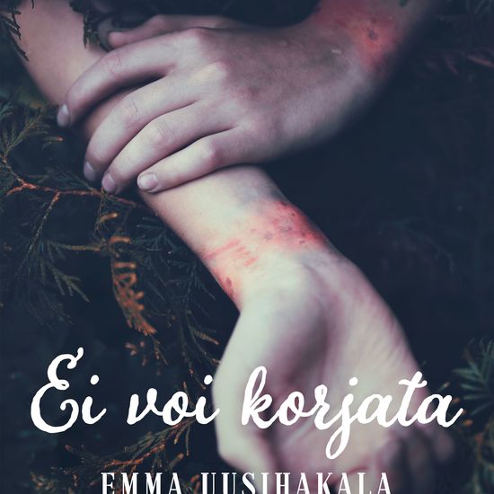 Ei voi korjata - cover