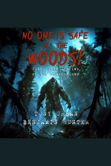 No One is Safe in the Woods - Scary True Stories of the Unexplained - cover