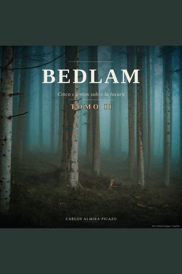 Bedlam - Cinco cuentos para la locura-tomo II - cover