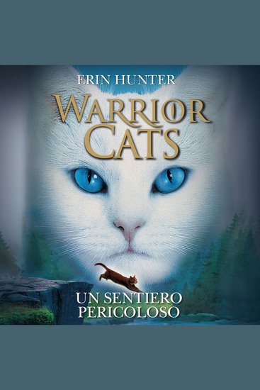 Un sentiero pericoloso - cover