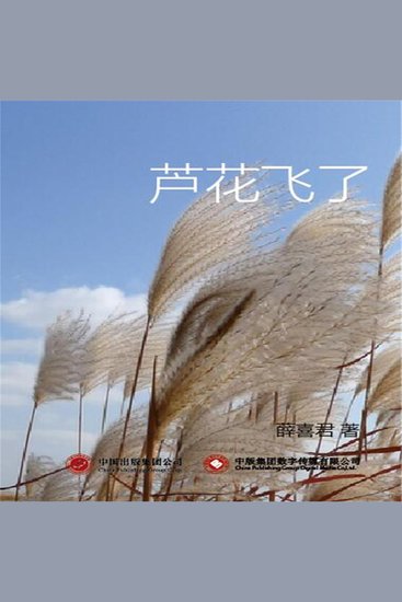 芦花飞了 - cover