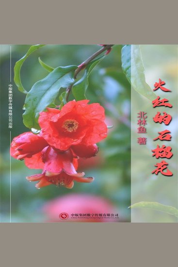火红的石榴花 - cover