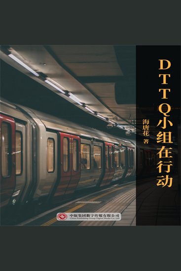 Dttq小组在行动 - cover