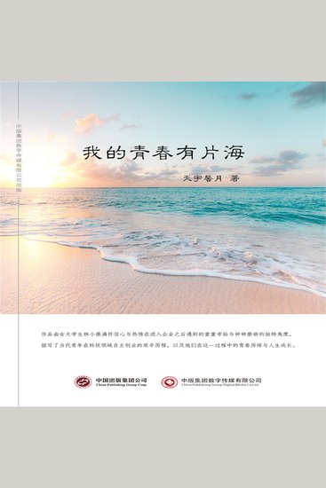 我的青春有片海 - cover