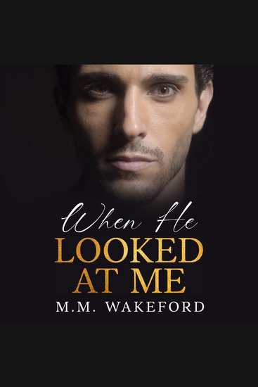 When He Looked At Me - A Futuristic Billionaire Workplace Romance - cover