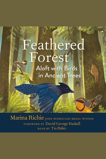 Feathered Forest - Aloft with Birds in Ancient Trees - cover