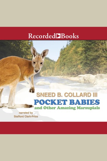Pocket Babies and Other Amazing Marsupials - cover