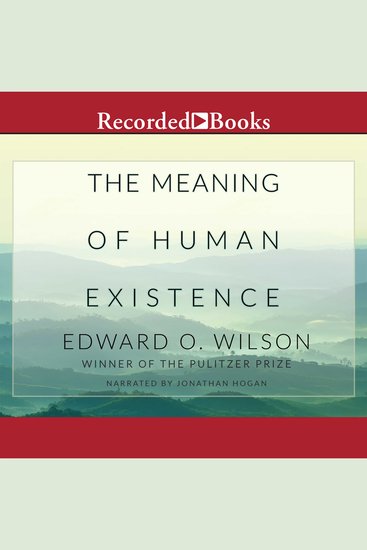 The Meaning of Human Existence - cover