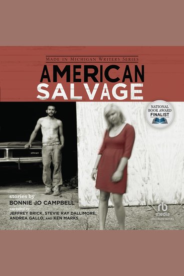 American Salvage - Stories - cover