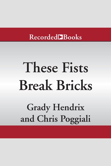 These Fists Break Bricks - How Kung Fu Movies Swept America and Changed the World - cover