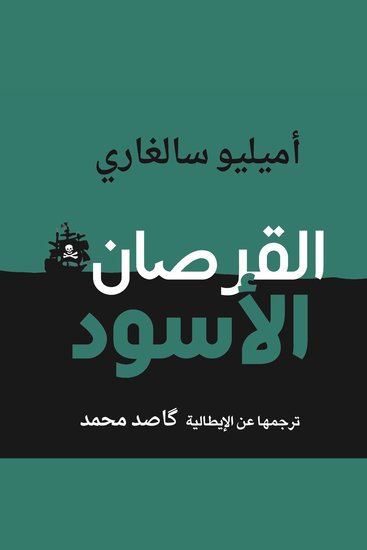 القرصان الأسود - cover