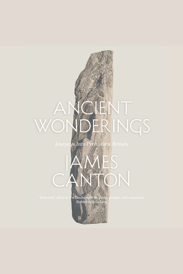 Ancient Wonderings: Journeys Into Prehistoric Britain - cover