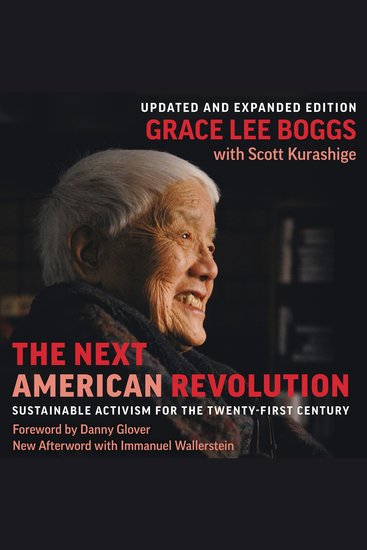 Next American Revolution - Sustainable Activism for the Twenty-First Century - cover