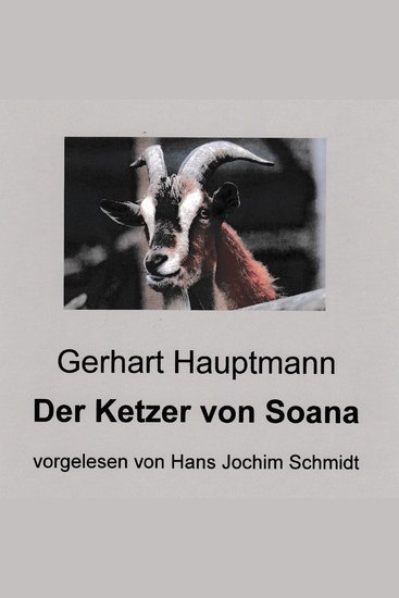 Der Ketzer von Soana - Novelle - cover