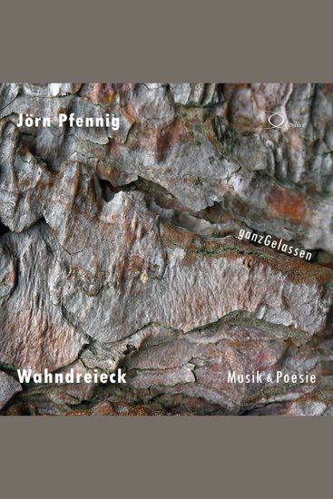 Wahndreieck - Musik & Poesie - cover