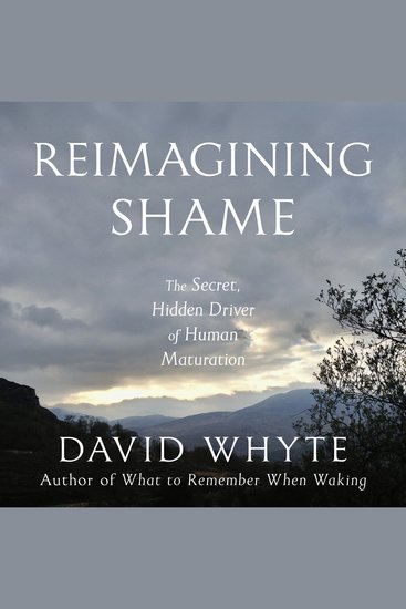 Reimagining Shame - cover