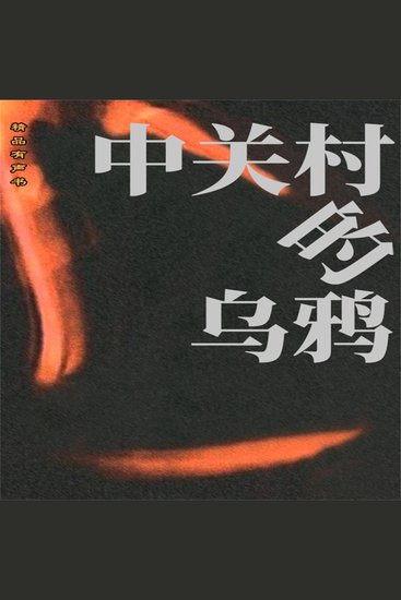 中关村的乌鸦 - cover