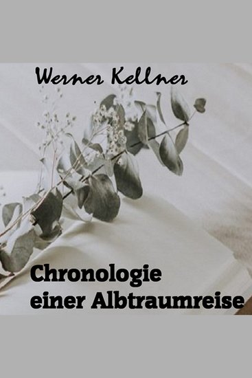 Chronologie einer Albtraumreise - ein Cum-Ex-Beziehunsthriller - cover