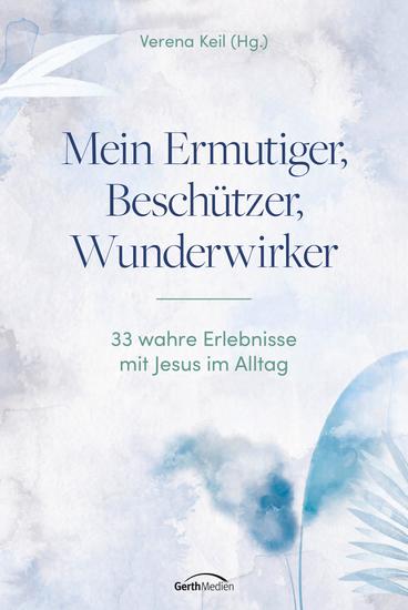 Mein Ermutiger Beschützer Wunderwirker - 33 wahre Erlebnisse mit Jesus im Alltag - cover