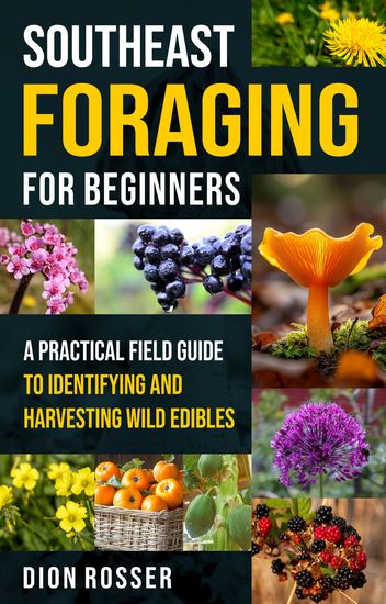 Southeast Foraging for Beginners - A Practical Field Guide to Identifying and Harvesting Wild Edibles - cover