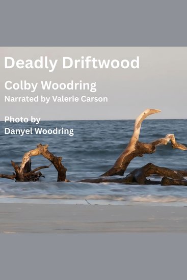 Deadly Driftwood - A Sequel to Revenge Falls - cover