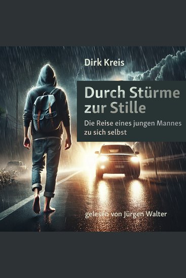 Durch Stürme zur Stille - Die Reise eines jungen Mannes zu sich selbst - cover