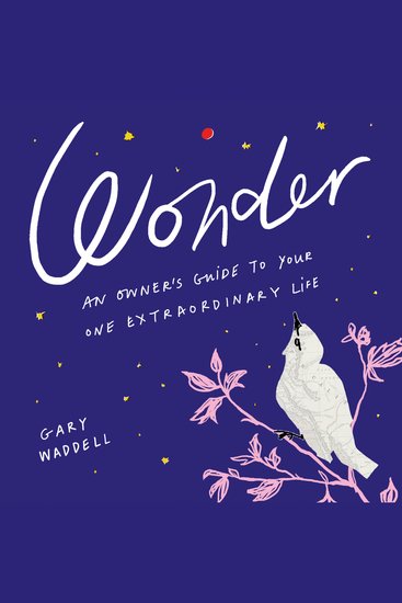 Wonder - An Owner's Guide to Your One Extraordinary Life - cover