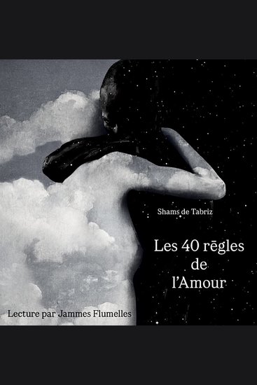 Les 40 règles de l’Amour - cover