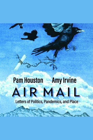 Air Mail - Letters of Politics Pandemics and Place - cover
