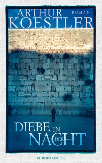 Diebe in der Nacht - cover