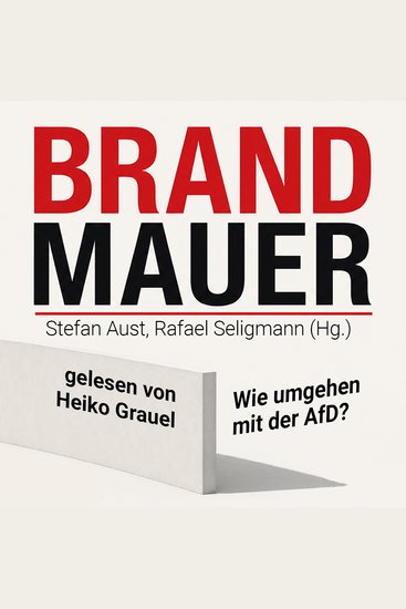 Brandmauer: Wie umgehen mit der AfD? - cover