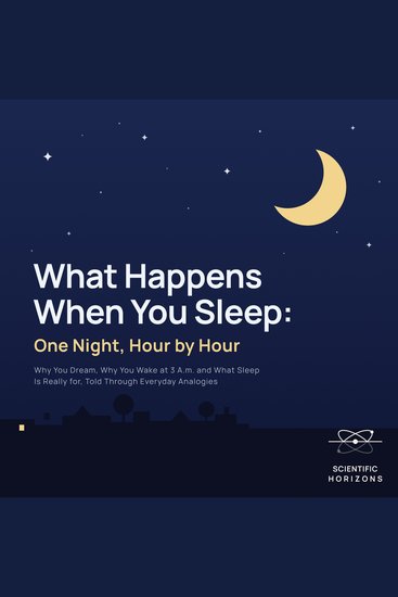 What Happens When You Sleep: One Night Hour by Hour - Why You Dream Why You Wake at 3 AM And What Sleep Is Really For Told Through Everyday Analogies - cover