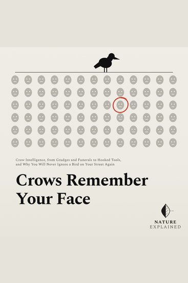 Crows Remember Your Face - Crow Intelligence from Grudges and Funerals to Hooked Tools and Why You Will Never Ignore a Bird on Your Street Again - cover
