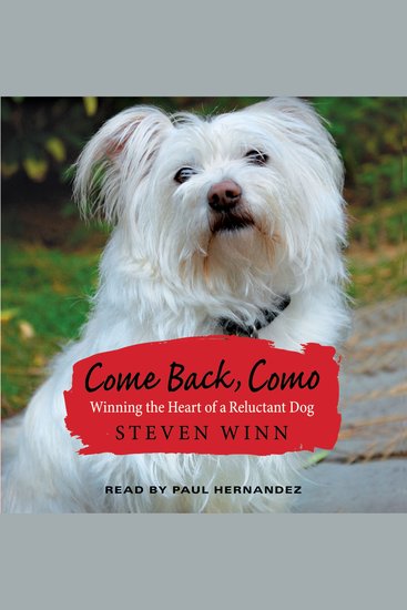 Come Back Como - cover