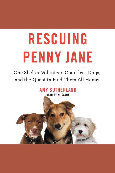 Rescuing Penny Jane - One Shelter Volunteer Countless Dogs and the Quest to Find Them All Homes - cover