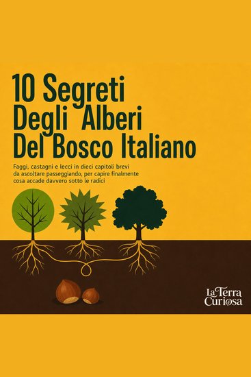 10 Segreti Degli Alberi Del Bosco Italiano - Faggi Castagni E Lecci in Dieci Capitoli Brevi Da Ascoltare Passeggiando per Capire Finalmente Cosa Accade Davvero Sotto Le Radici - cover