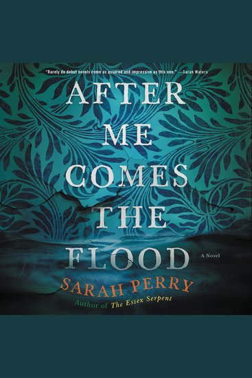 After Me Comes the Flood - A Novel - cover